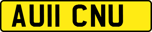 AU11CNU