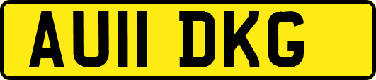 AU11DKG