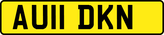 AU11DKN