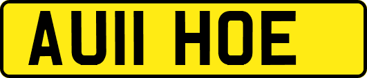 AU11HOE
