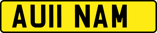 AU11NAM
