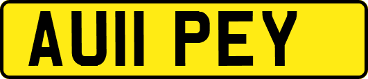 AU11PEY