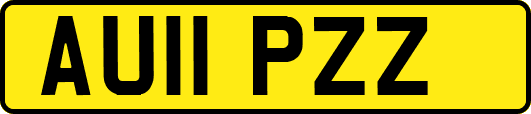 AU11PZZ