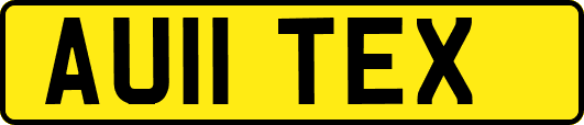 AU11TEX