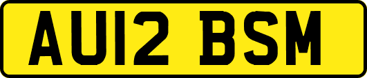 AU12BSM