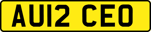 AU12CEO