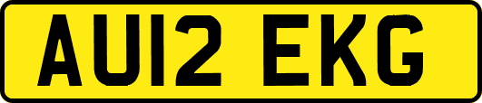 AU12EKG
