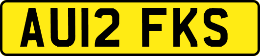 AU12FKS