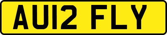 AU12FLY