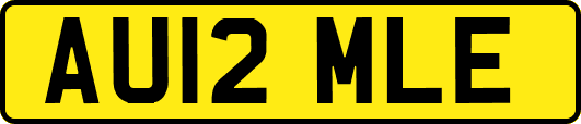 AU12MLE