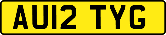 AU12TYG