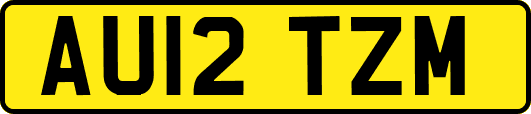 AU12TZM