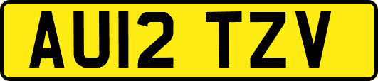 AU12TZV
