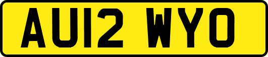 AU12WYO