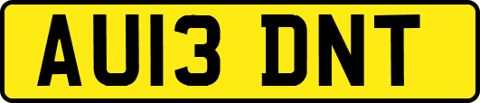 AU13DNT