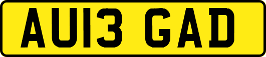 AU13GAD