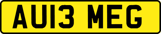 AU13MEG