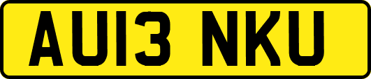 AU13NKU