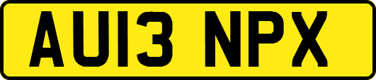 AU13NPX