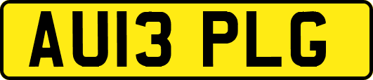 AU13PLG