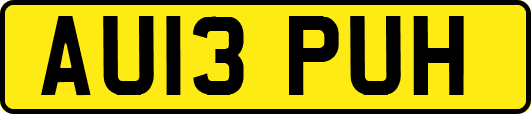 AU13PUH