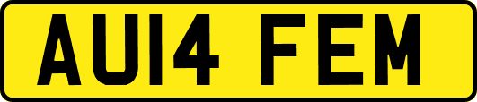 AU14FEM