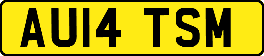 AU14TSM