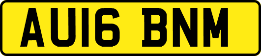 AU16BNM