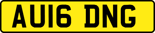 AU16DNG