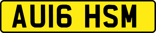 AU16HSM