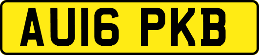 AU16PKB