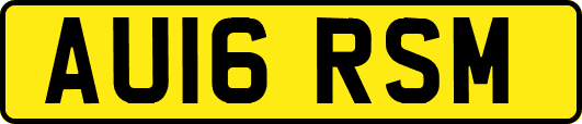 AU16RSM