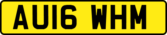 AU16WHM