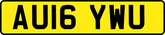 AU16YWU