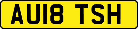 AU18TSH