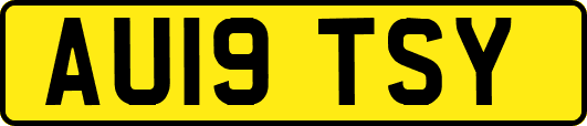 AU19TSY