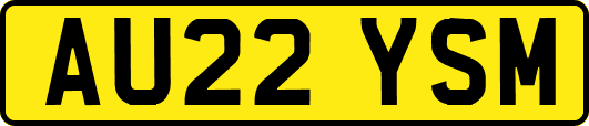 AU22YSM