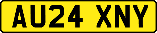 AU24XNY