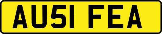 AU51FEA