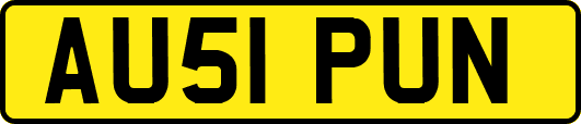 AU51PUN