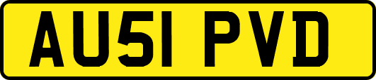 AU51PVD