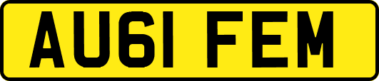 AU61FEM