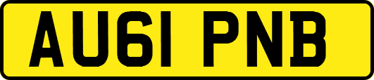 AU61PNB