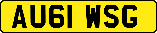 AU61WSG