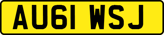 AU61WSJ