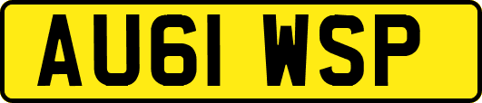 AU61WSP