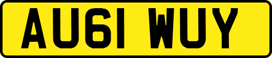 AU61WUY