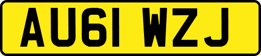 AU61WZJ