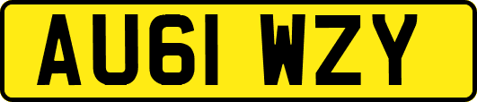 AU61WZY