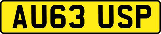 AU63USP